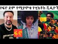 የፋኖ የቲክቶክ ቪዲዮች ስብስብ Ethipian Fanos Tiktok Videos Completion Reaction 