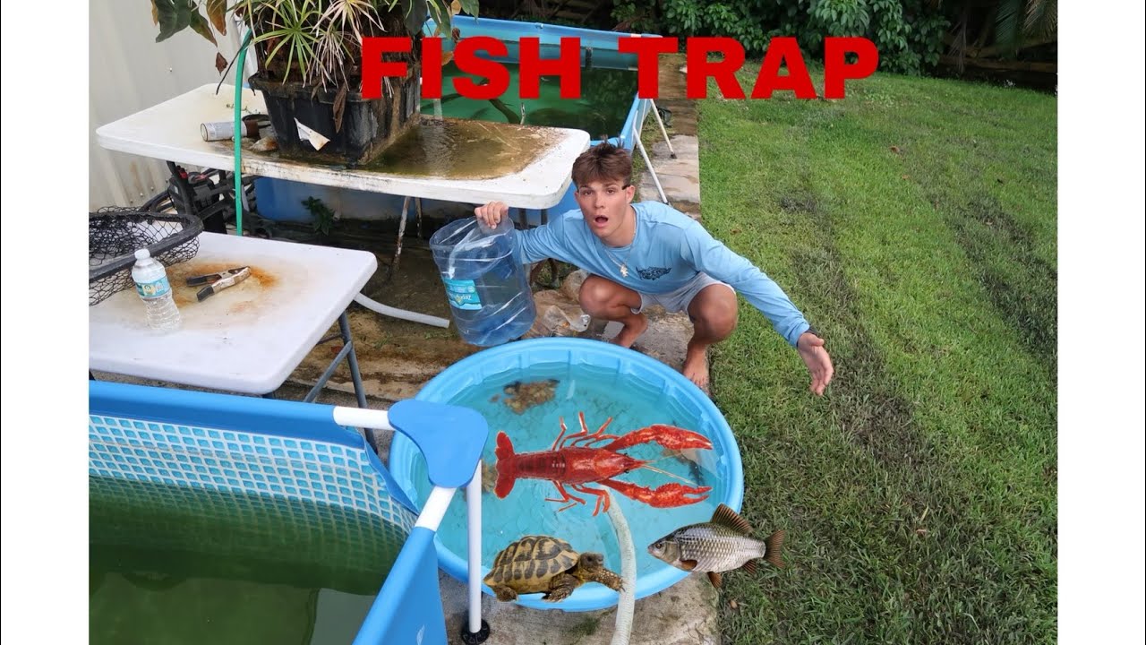 CATCHING CRAZY CRITTERS WITH HOMEMADE  FISH TRAP.