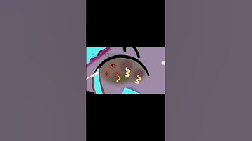 Alphabet Lore Story #alphabetlore #numberlore