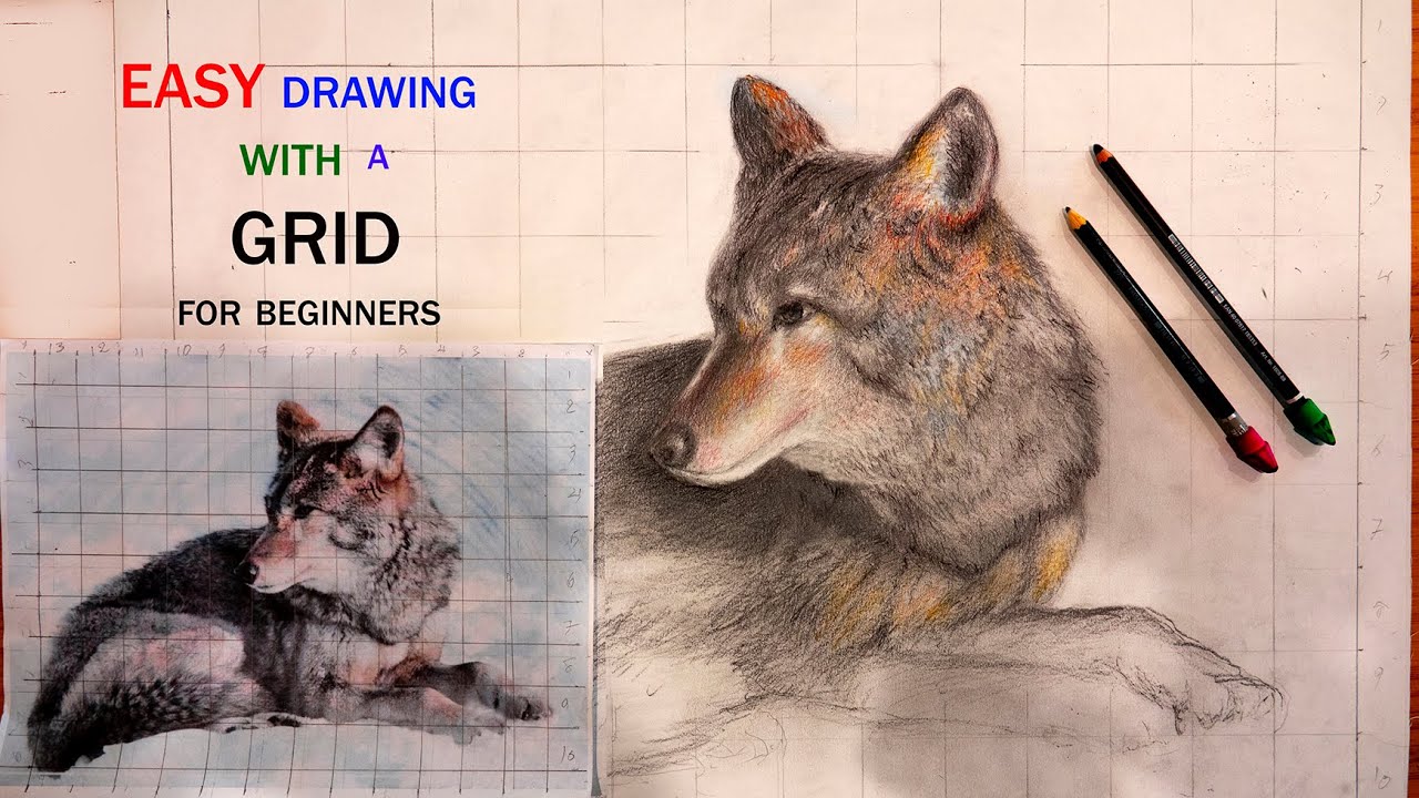 Drawing, wolf EASY with a GRID for beginners. - YouTube