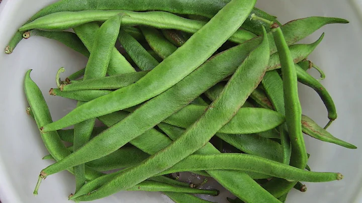 How to Grow Beans - In the Alaska Garden with Heid...