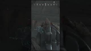 นิ่ง #huntshowdown
