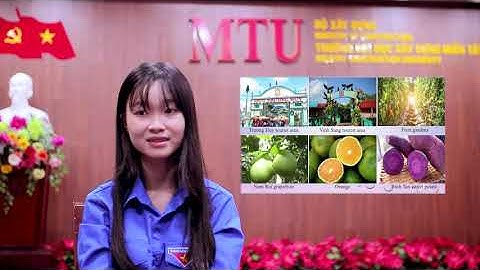 Video clip dự thi Olympic Tiếng Anh HSSV Toàn quốc năm 2021 Vòng 2 - SV Lê Hồ Minh Thư KE20D01