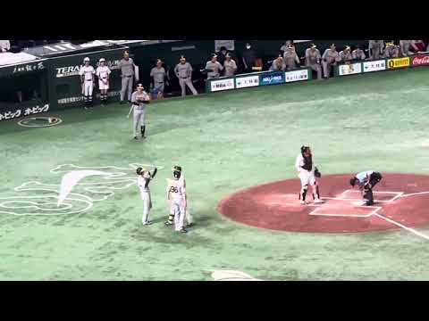 森下翔太　6号先制2ラン　#森下翔太