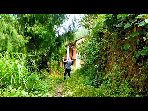 Day 02 Grandpa and I were chopping bamboo together in the forest and renovating the old house