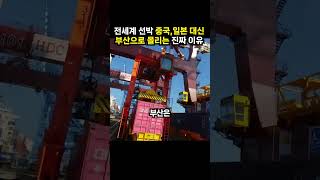 전세계 선박 중국, 일본 대신 부산으로 몰리는 진짜 이유 (이슈딸깍)