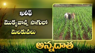 Kharif Maize | Package Of Practices
