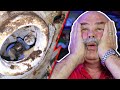 This is My Plumbing Nightmare! - Real Plumber Reacts