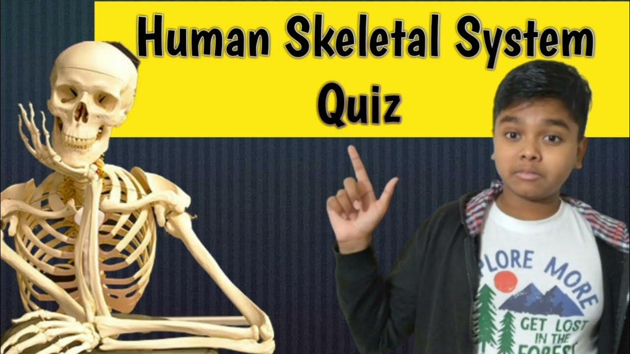 Human Skeletal System Quiz YouTube