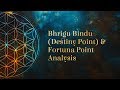 Bhrigu Bindu (Destiny Point) and Fortuna Point Analysis