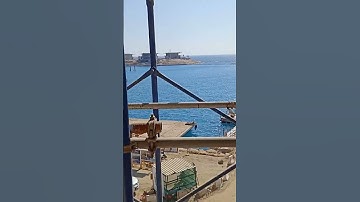 #تلاوة_خاشعة #تلاوة_هادئة #إسلام_صبحي #اسلام_صبحي #خواتيم_سورة_المؤمنون #سورة_المؤمنون #قرآن_كريم ♥️