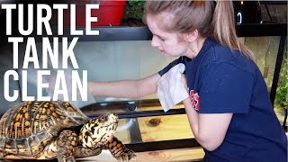 NEW Cleaning My Box Turtle Tank Clean & Setup