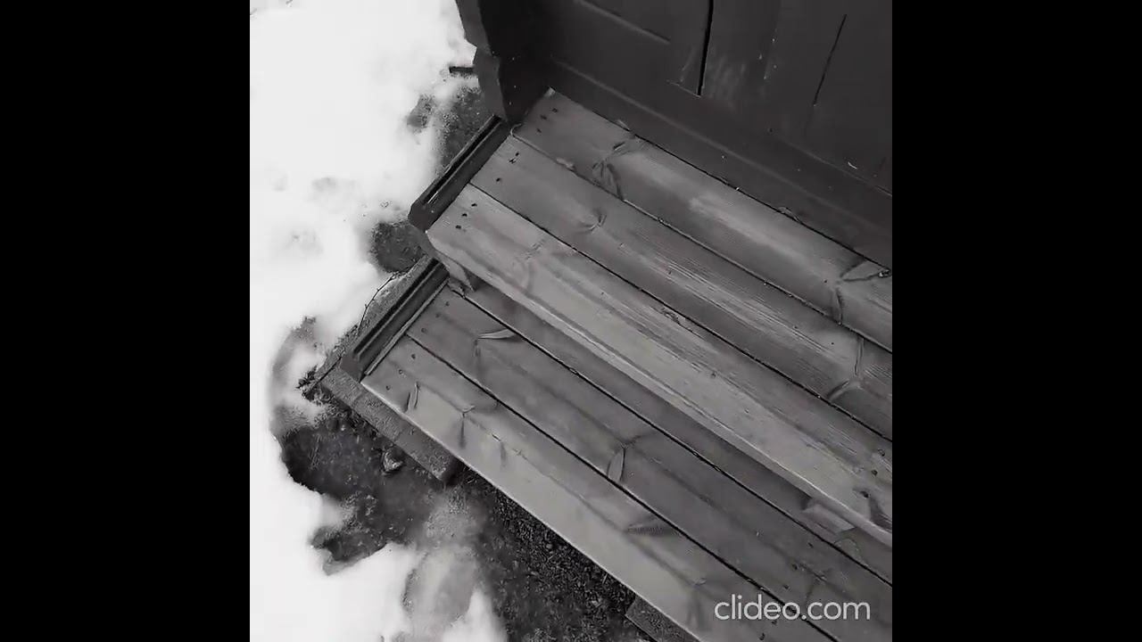 love between two male friends in finland