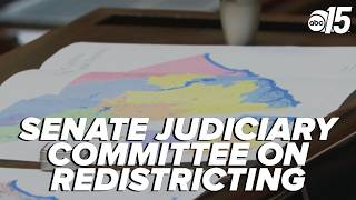 Senate Judiciary Committee hearing on redistricting; includes public testimony