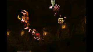 Donkey Kong Country - TAS Platform Perils