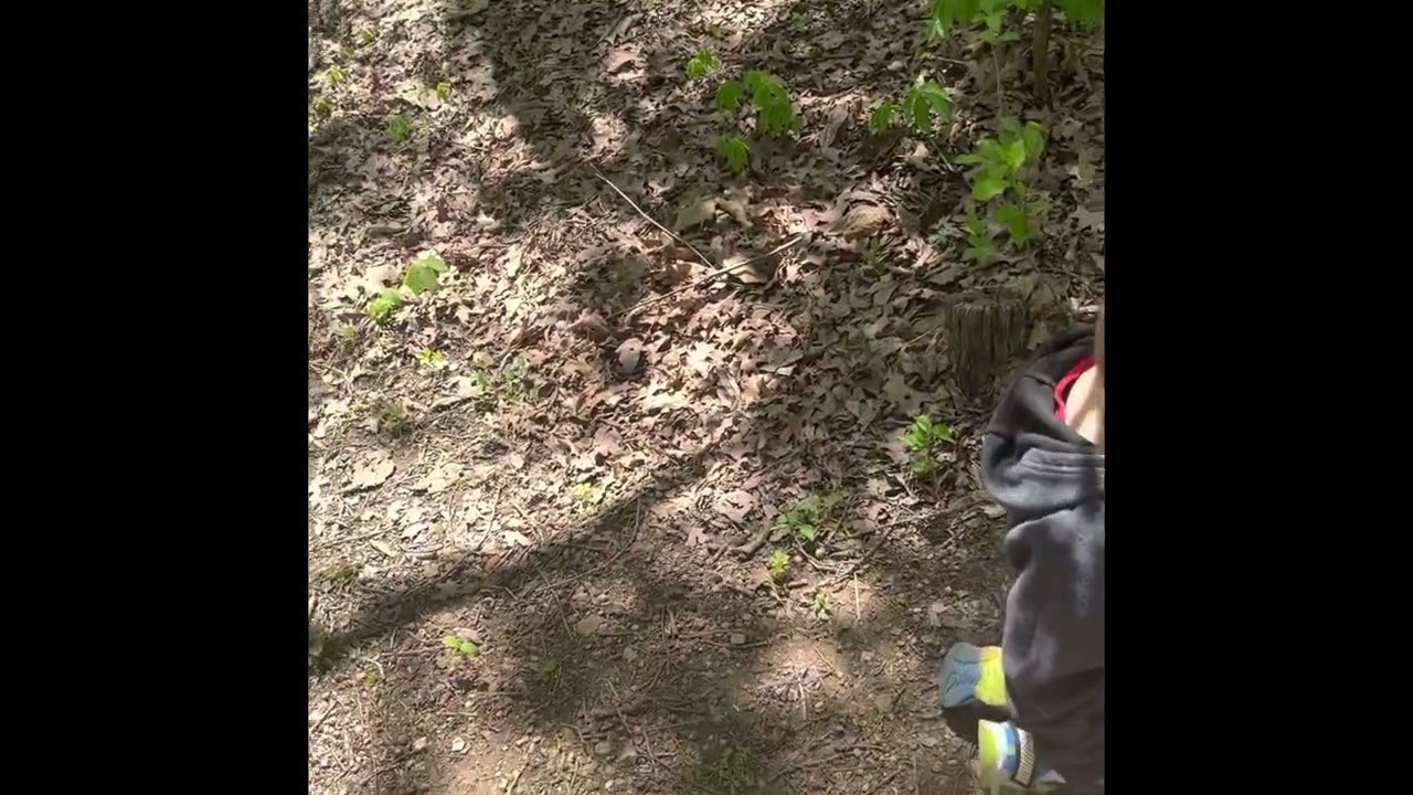 Hiking in the woods!  Mort walker trail Missouri scavenger hunt family time