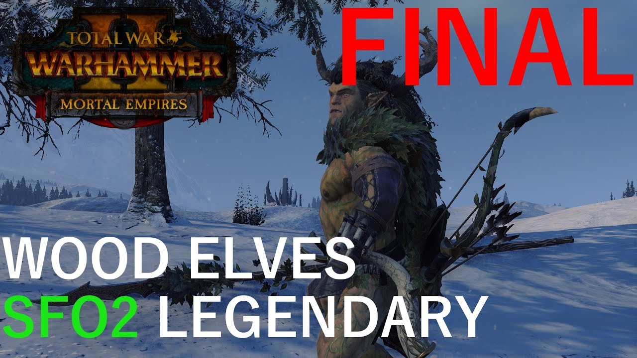 The End! Legendary SFO2 Wood Elves Campaign 34 TWW2 Mortal