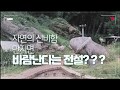 만지면 바람난다고 하네요 ㅋㅋ~~