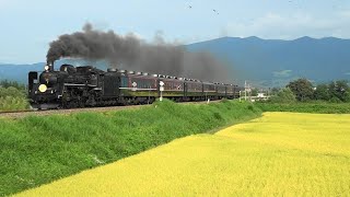 20210912黄金色に染まる田園を走る「SLばんえつ物語」