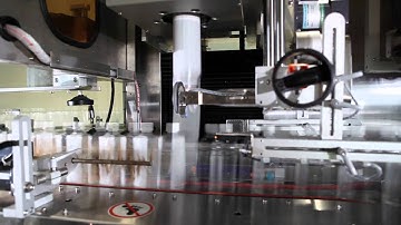 ESM 600 Automatic Shrink Sleeve Labeling Machine/Sleeve Labeler From Eversleve, Taiwan