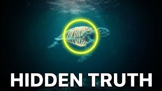 What’s INSIDE a Turtle Shell? (The Secret You Didn't Know) 🐢