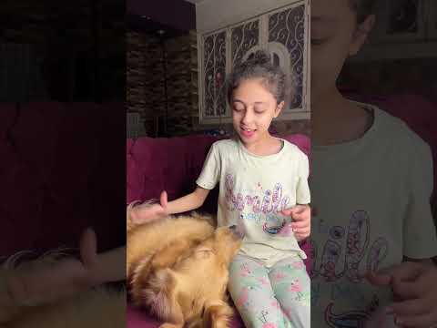بتبوس الكلب من بؤقه اكسبلور