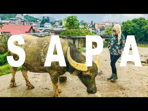 We Survived the Night Train to Sapa | Bac Ha Market Travel Guide