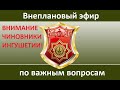 Внеплановый эфир по важным вопросам. ВАЙНАЬХ ДОГ в прямом эфире!