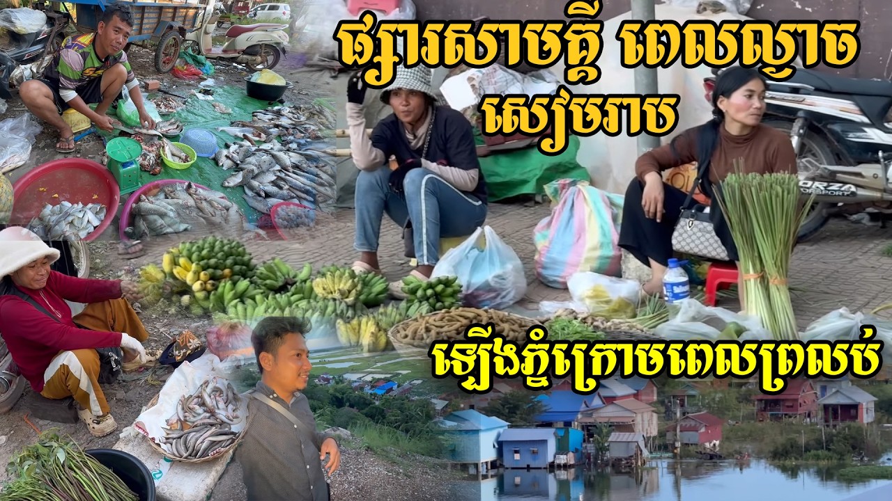 ត្រីទន្លេសាប ផ្សារសាមគ្គី ខេត្តសៀមរាប ពេលល្ងាច,ឡើងភ្នំក្រោមពេលព្រលប់|Visit fish and vegetable market
