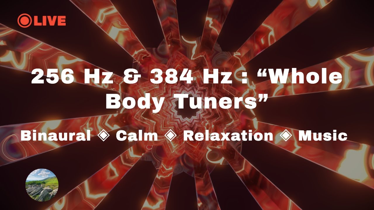 256 Hz  384 Hz  Whole Body Tuners Binaural  Calm  Relaxation  Music