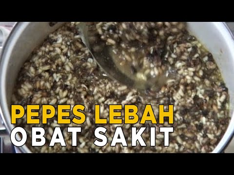 Pepes lebah gak kalah loh khasiatnya | JELANG SIANG