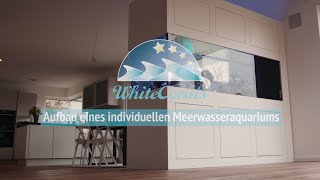 Aufbau eines individuellen Meerwasseraquariums.