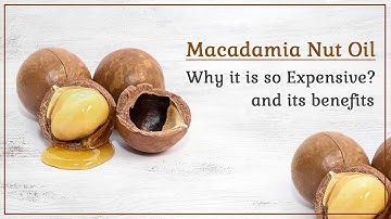 Why are Macadamia Nuts So Expensive and its Benefits | Vitamin E