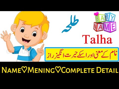 Talha Name Meaning In Urdu Boy Name طلحہ