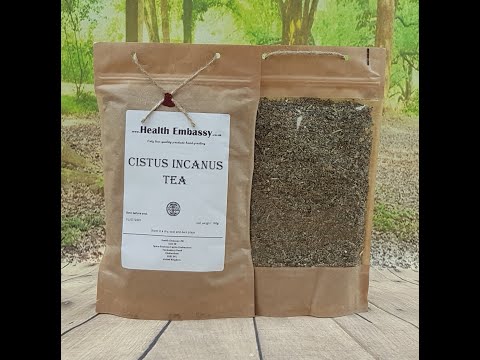 Cistus Incanus Health