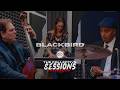 Blackbird - Pro Artist Series | The Frank Hansen