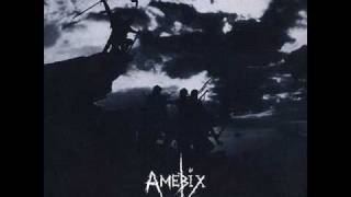 Miniatura del video "amebix-arise"