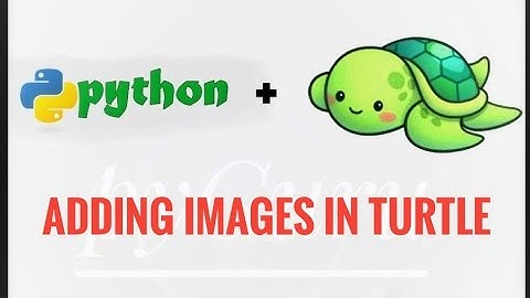 pyTurtle 9 | Adding images to turtle canvas | #pyGuru