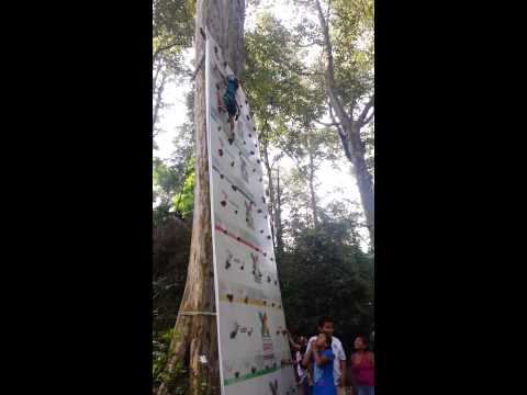 Video: Muro De Escalada En La Casa De Campo: Muro De Escalada Al Aire Libre En El Patio De Recreo. ¿Cómo Hacer Un Muro De Escalada Para Niños Con Tus Propias Manos? Material Para El Compl