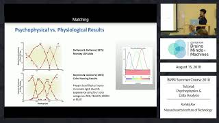 Tutorial: Psychophysics and Data Analysis