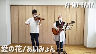 愛の花 / あいみょん / AI NO HANA /  連続テレビ小説『らんまん』主題歌