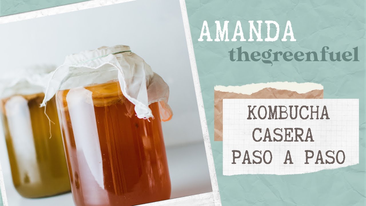 kombucha es probiotico