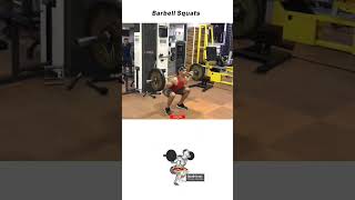 Barbell Squats: Muscles Worked And Correct Technique