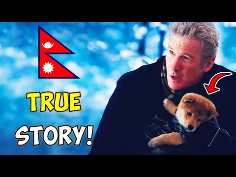 Hachi: A Dog's Tale - (Explained in Nepali)
