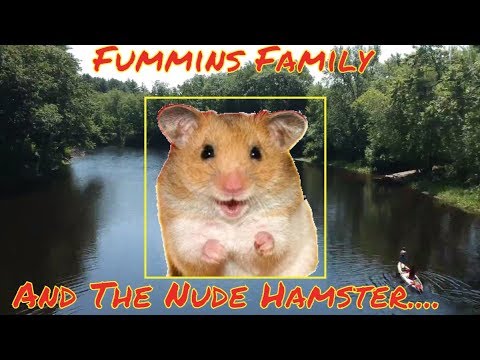 new hamster state