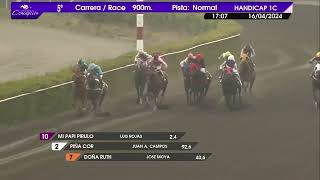 Vidéo de la course PMU PRIX TAN VELOZ