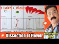 Dissection of Hibiscus Flower with Complete Explanation(Practical-2)By Prof.Prakash Surve(Moderator)