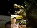 gorolla sanak ladai #animals #hulk #snake #animation #kingkong #silverbackgorilla