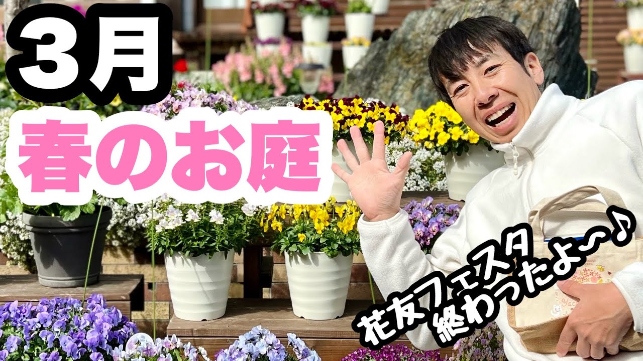 ◆【３月の庭と草花とアナベルロード】花友フェスタ感想などなど🪴