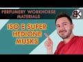 Perfumery Workhorse Materials - Iso E Super, Hedione, Musks